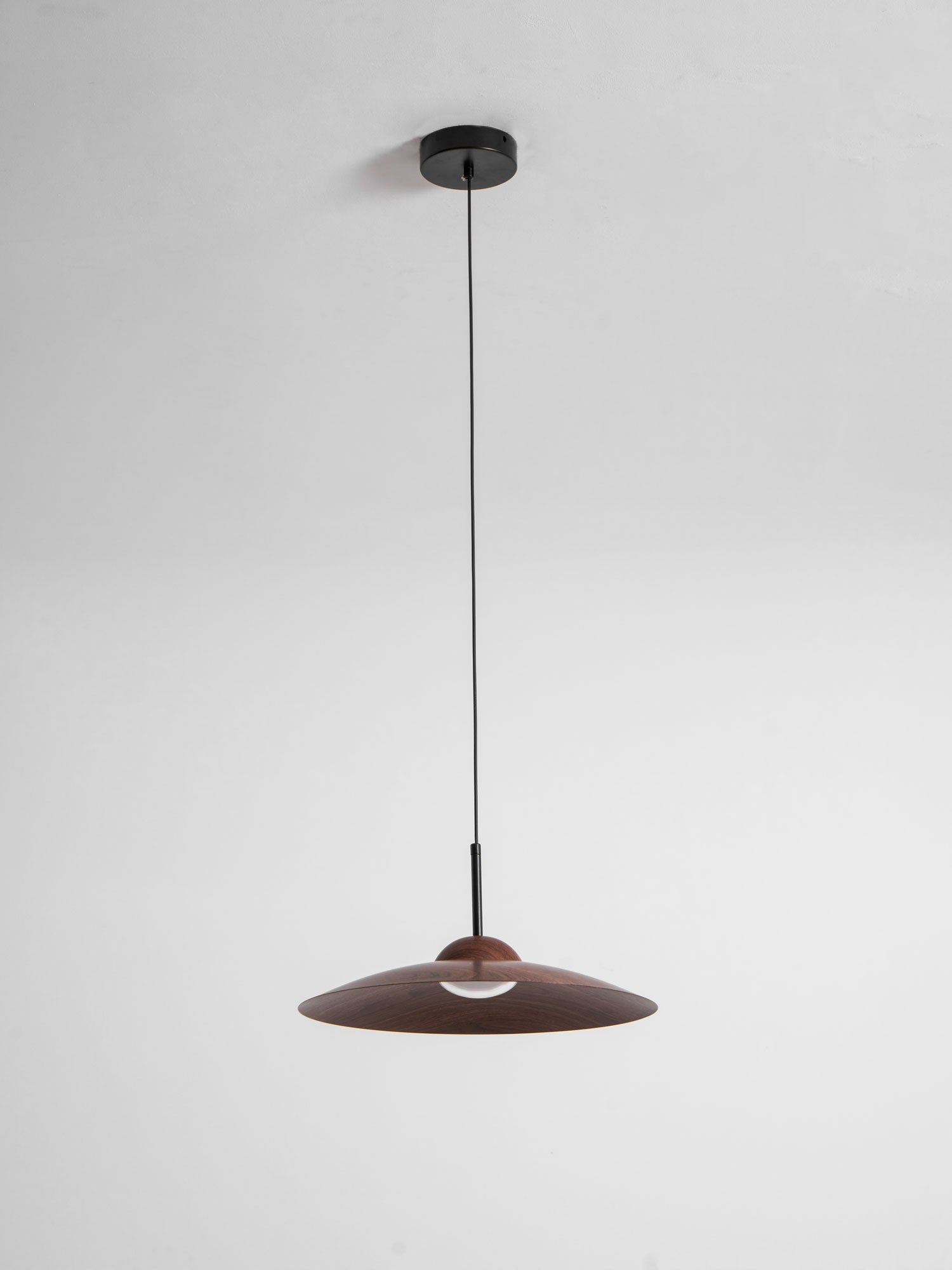 arcadian-pendant-light-anzaz--43