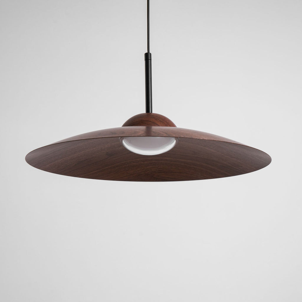 arcadian-pendant-light-anzaz--39