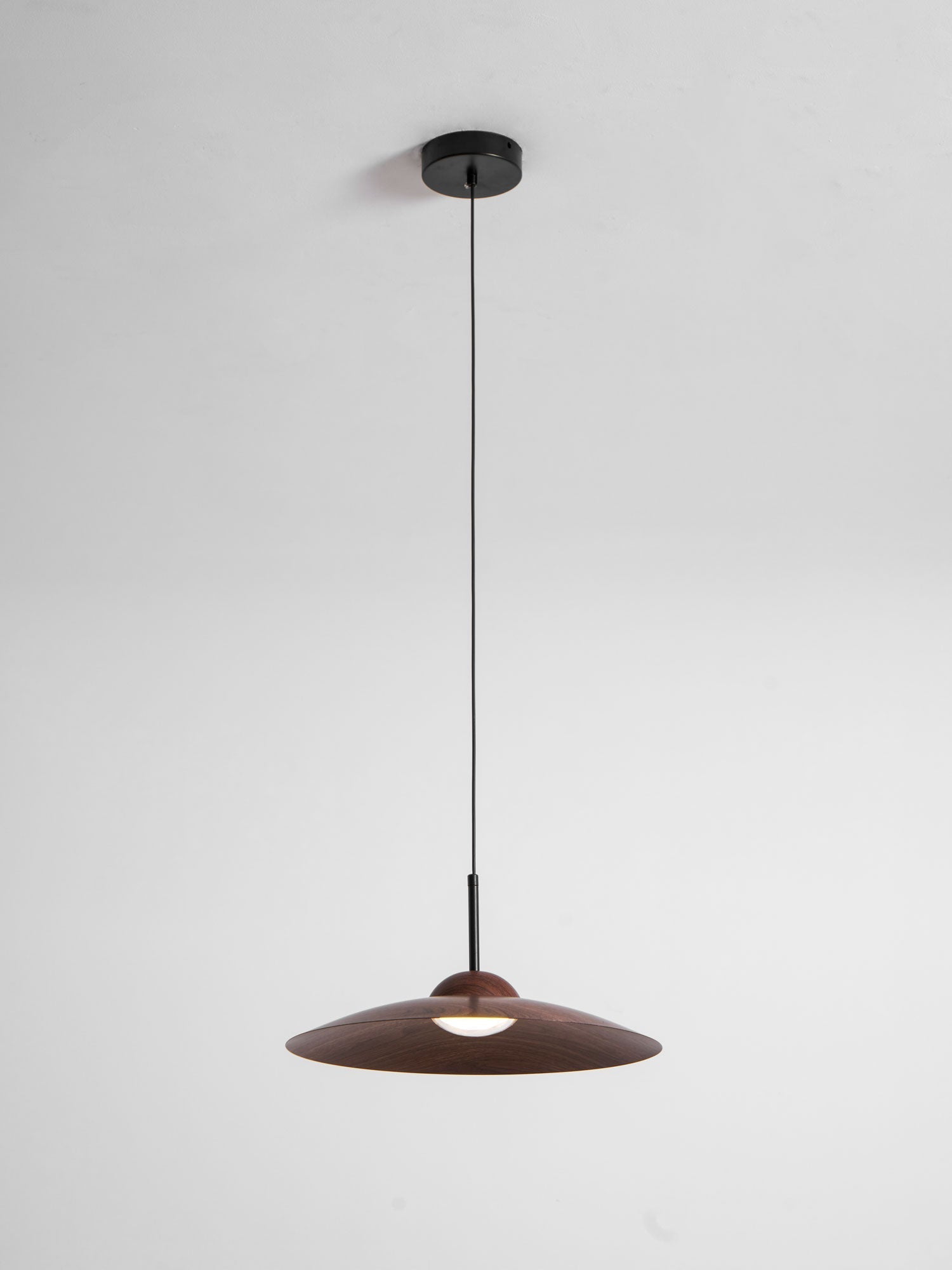 arcadian-pendant-light-anzaz--42