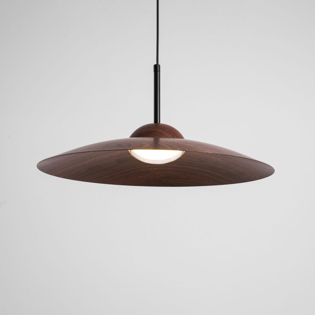arcadian-pendant-light-anzaz--41