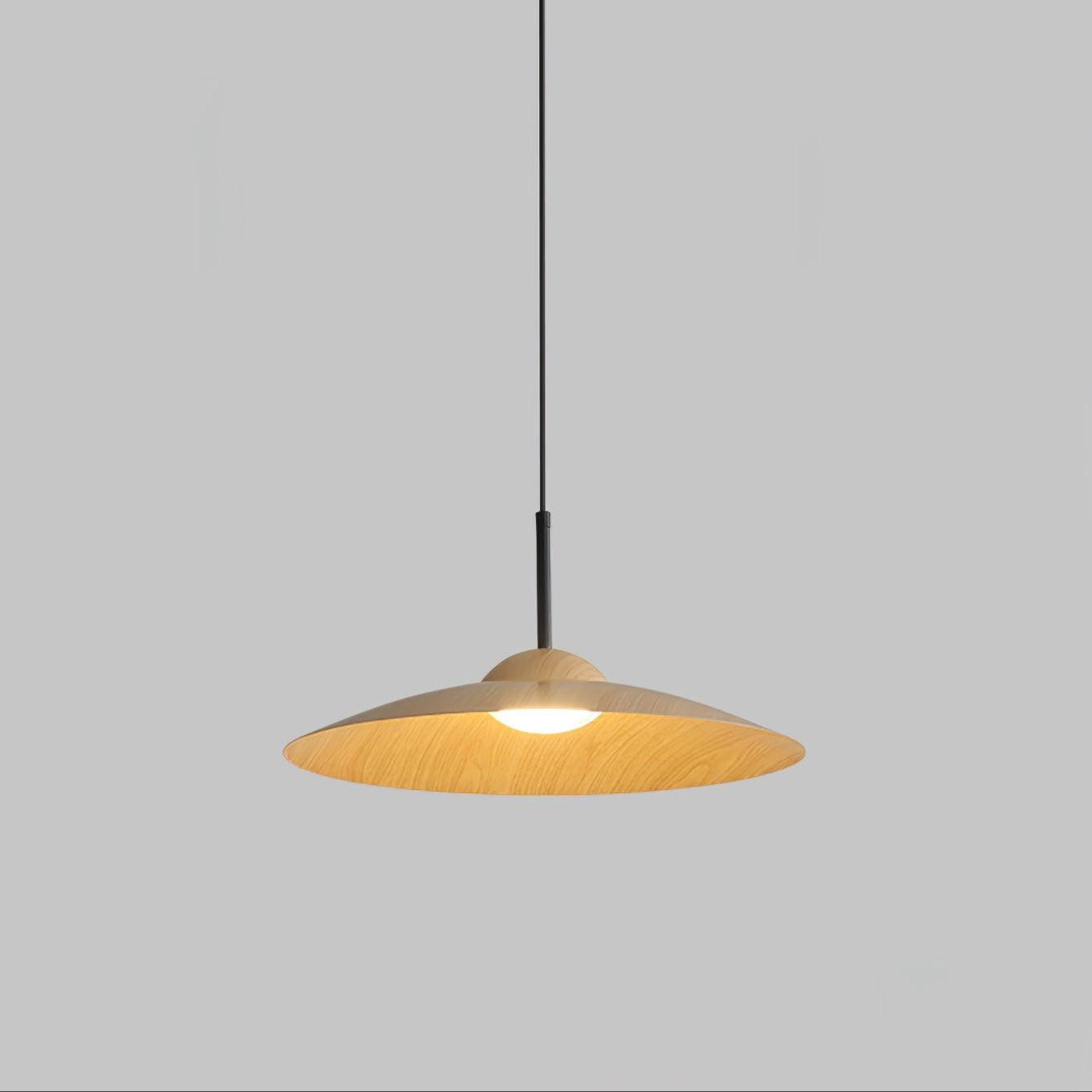 arcadian-pendant-light-anzaz--20