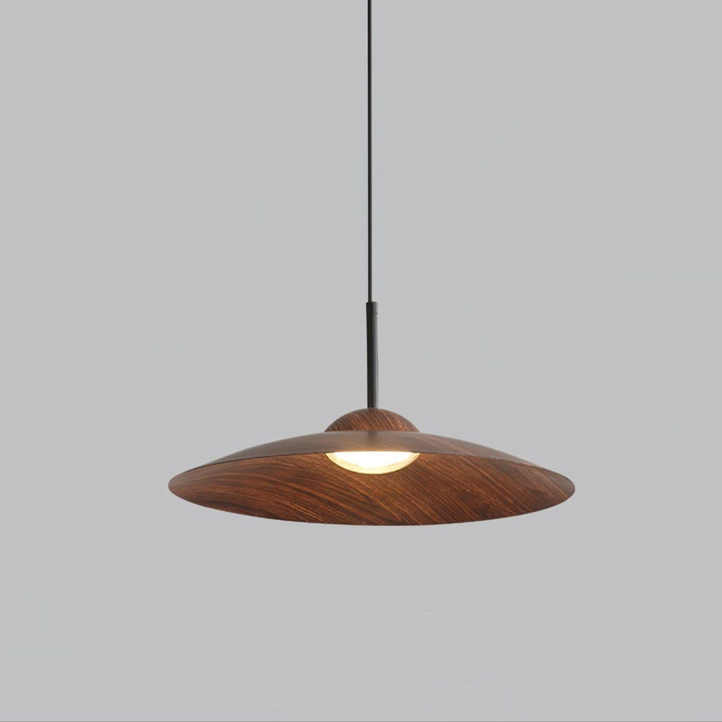 arcadian-pendant-light-anzaz--19
