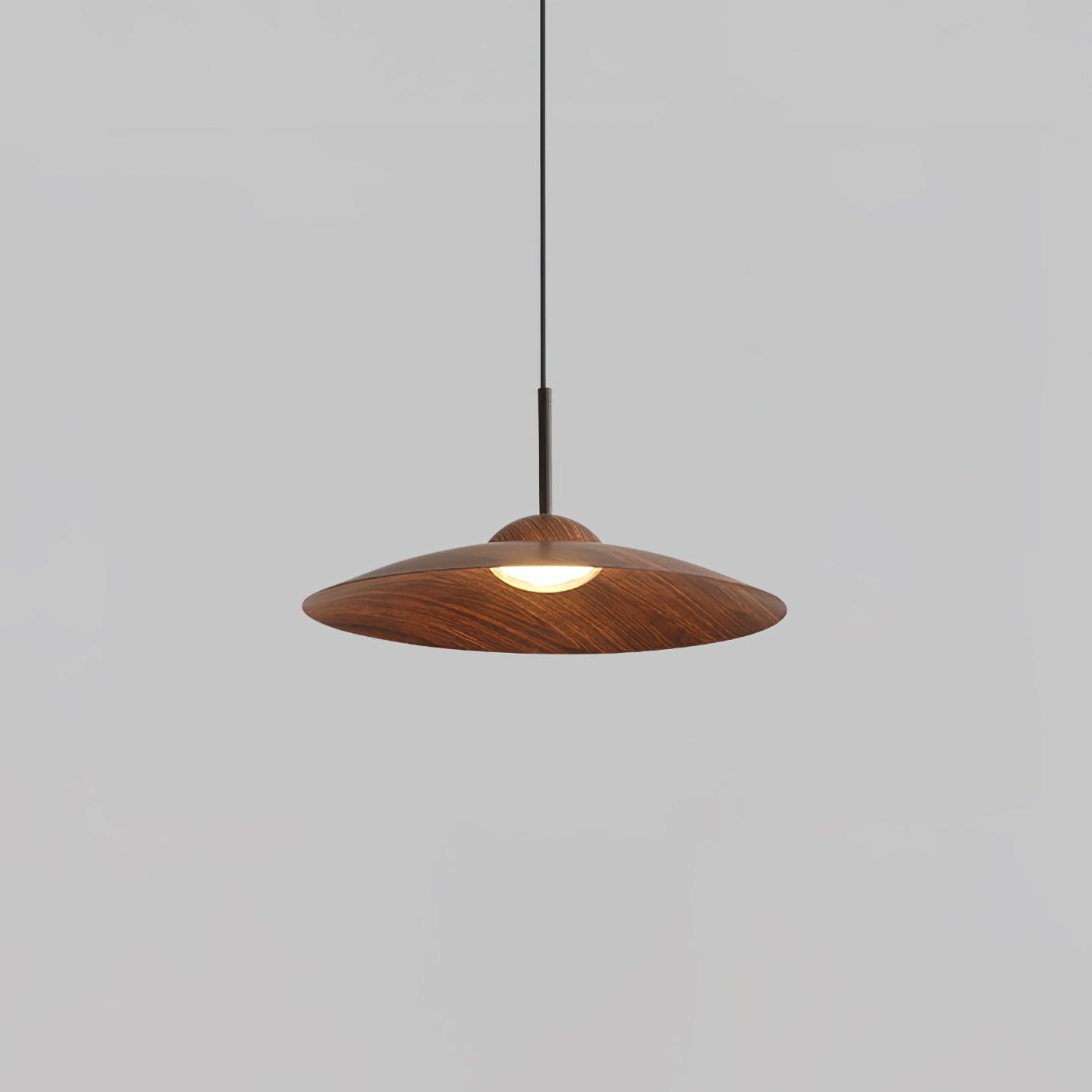 arcadian-pendant-light-anzaz--14