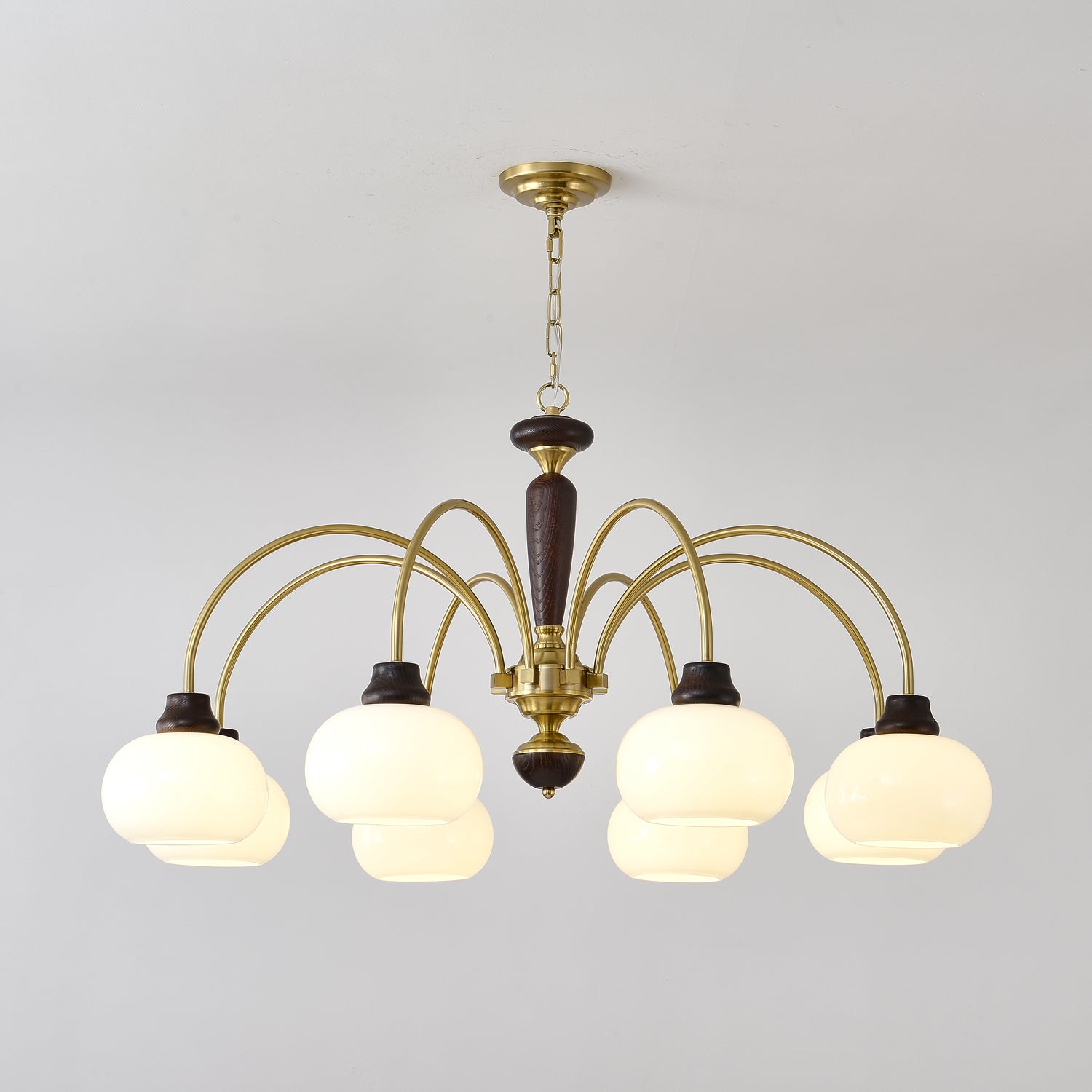 arched-globe-chandelier-anzaz--18