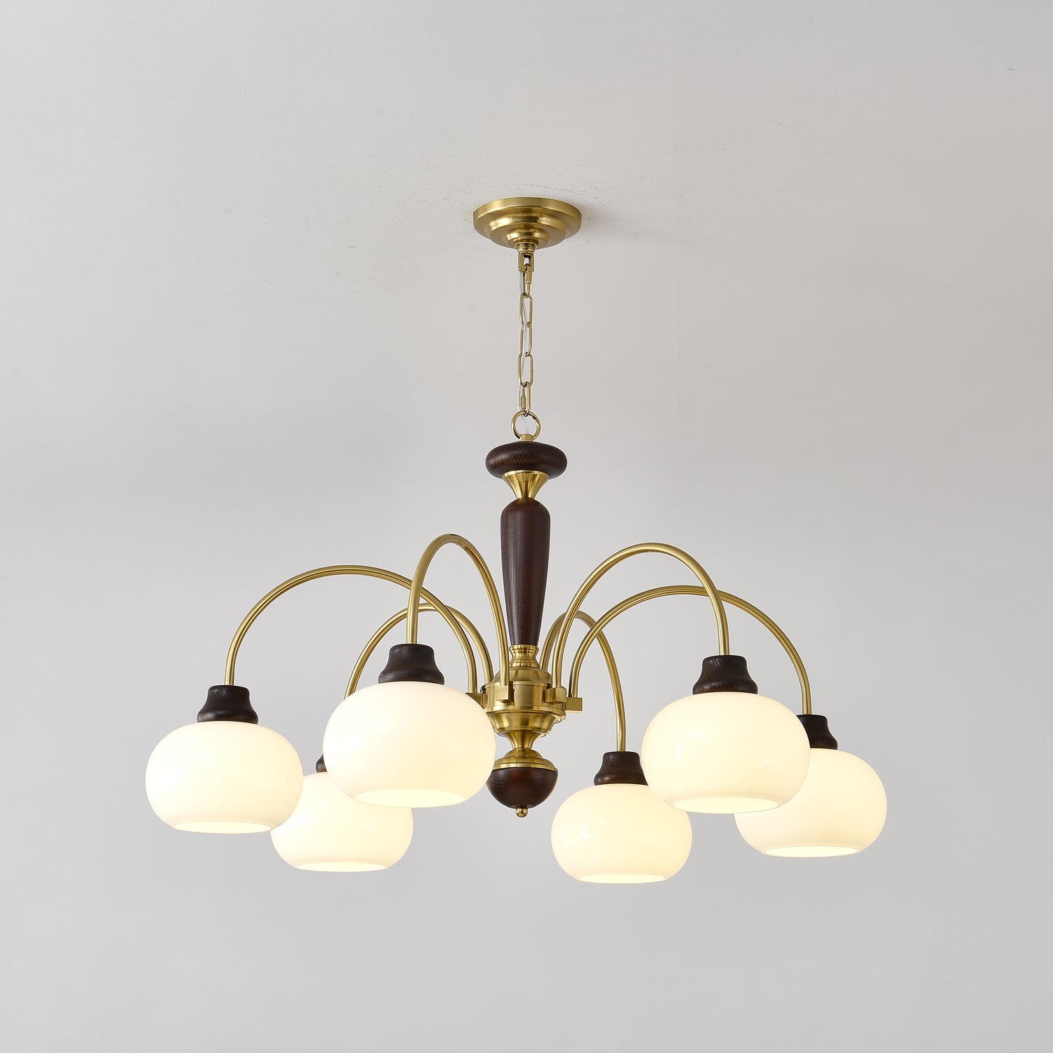 arched-globe-chandelier-anzaz--5