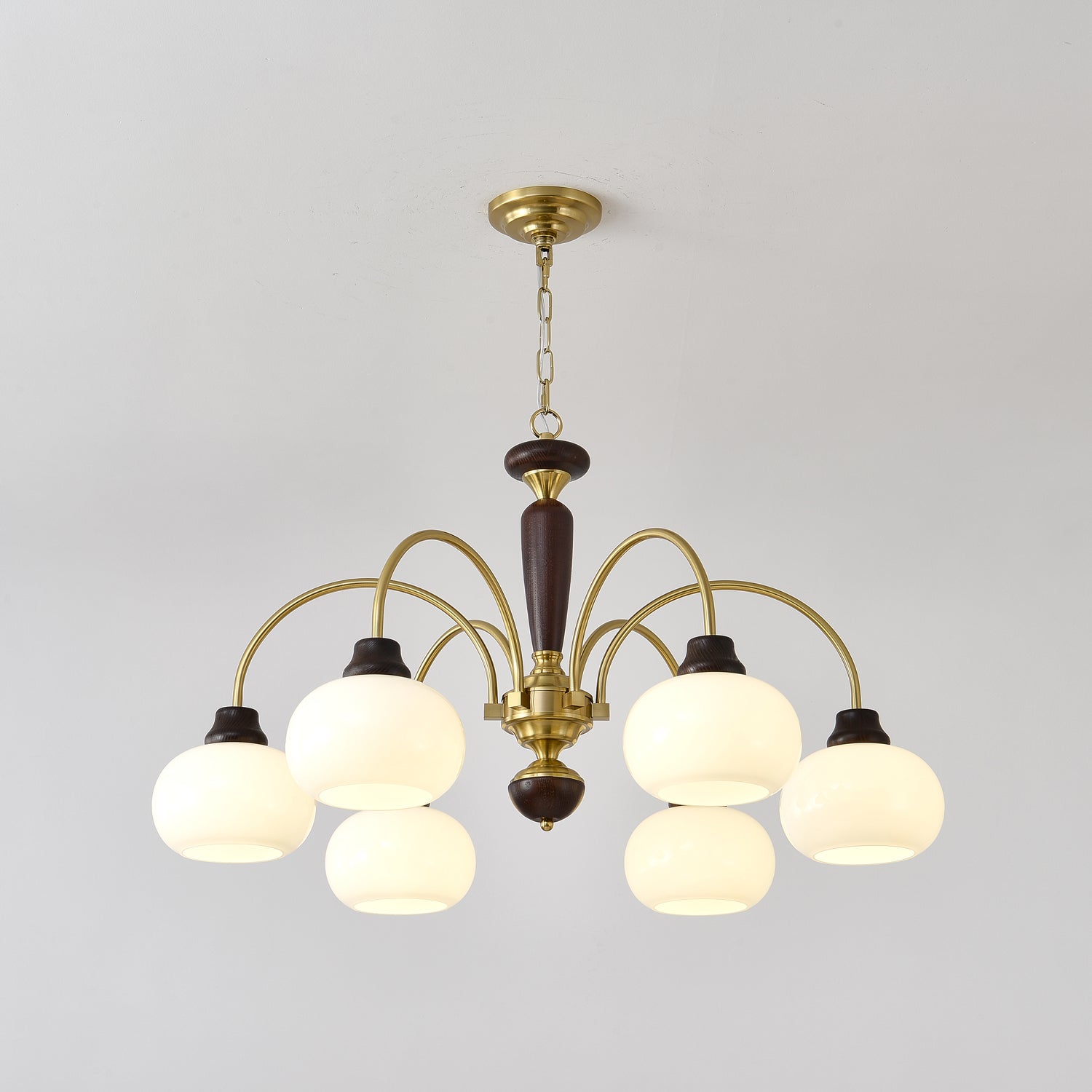 arched-globe-chandelier-anzaz--19
