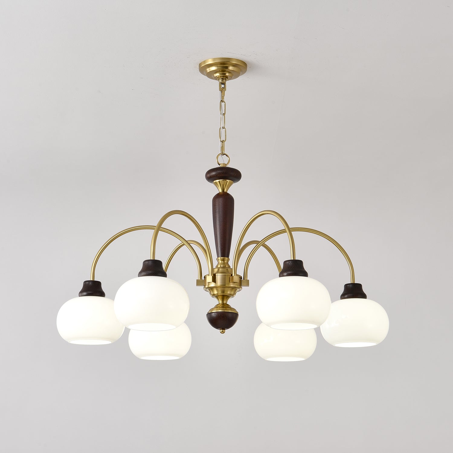 arched-globe-chandelier-anzaz--10