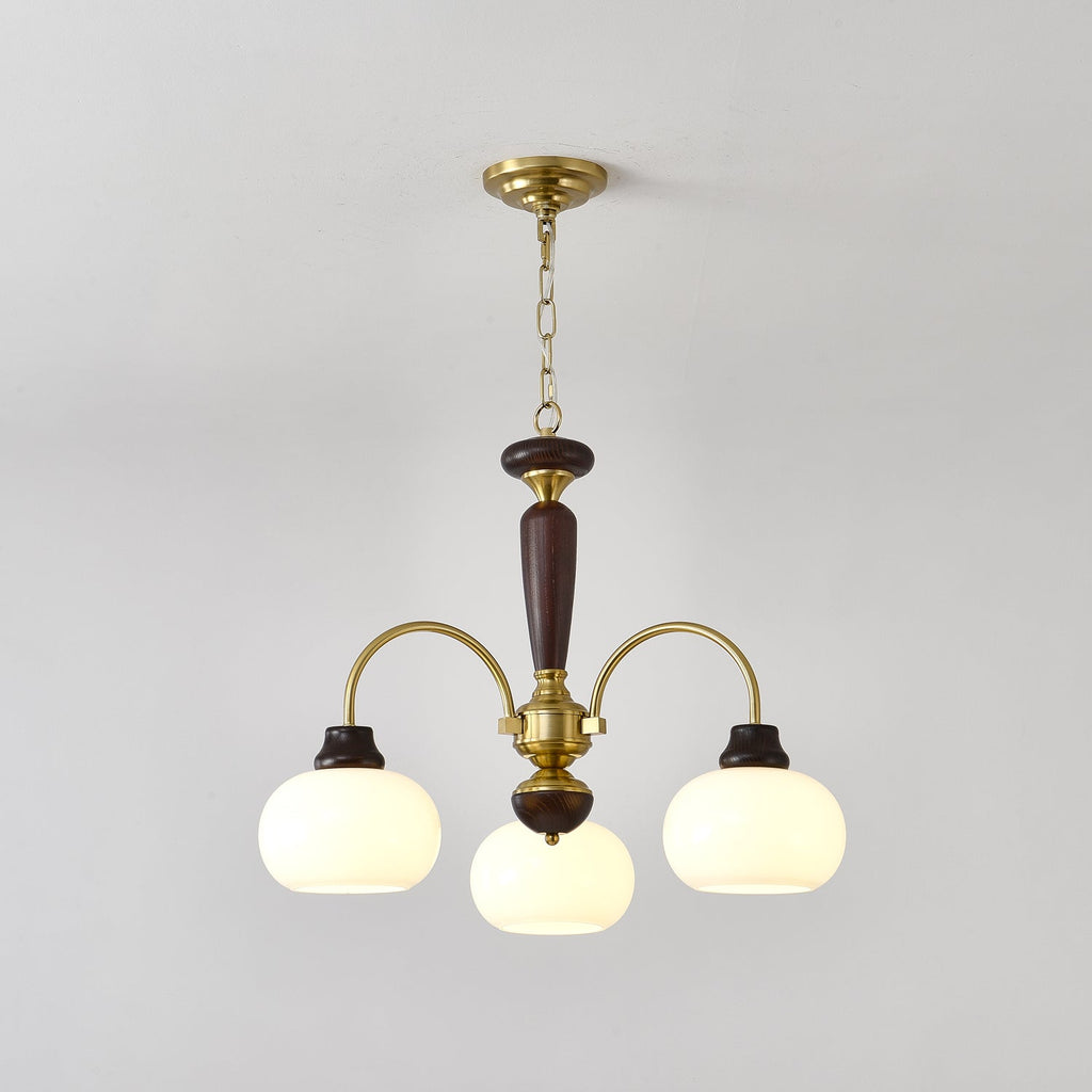 arched-globe-chandelier-anzaz--13