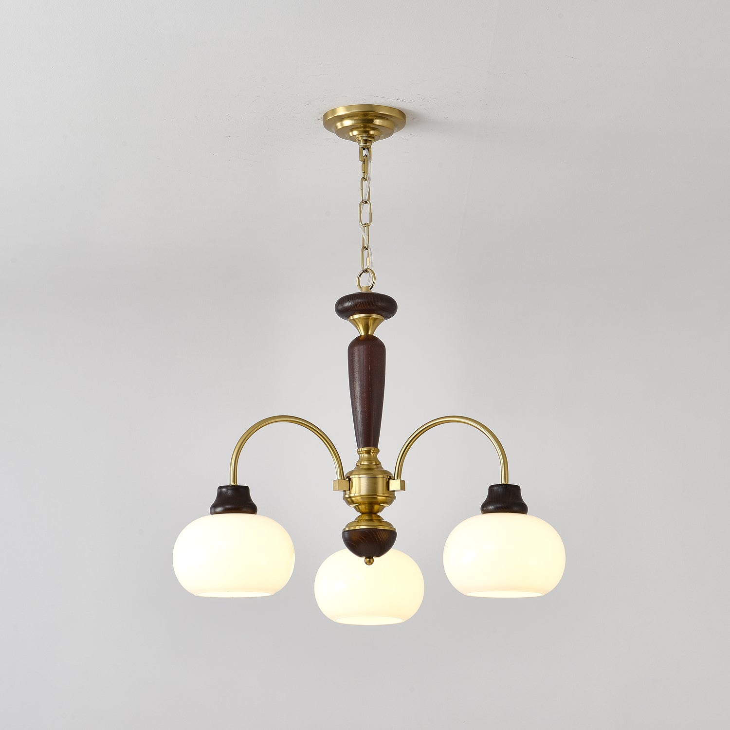 arched-globe-chandelier-anzaz--13