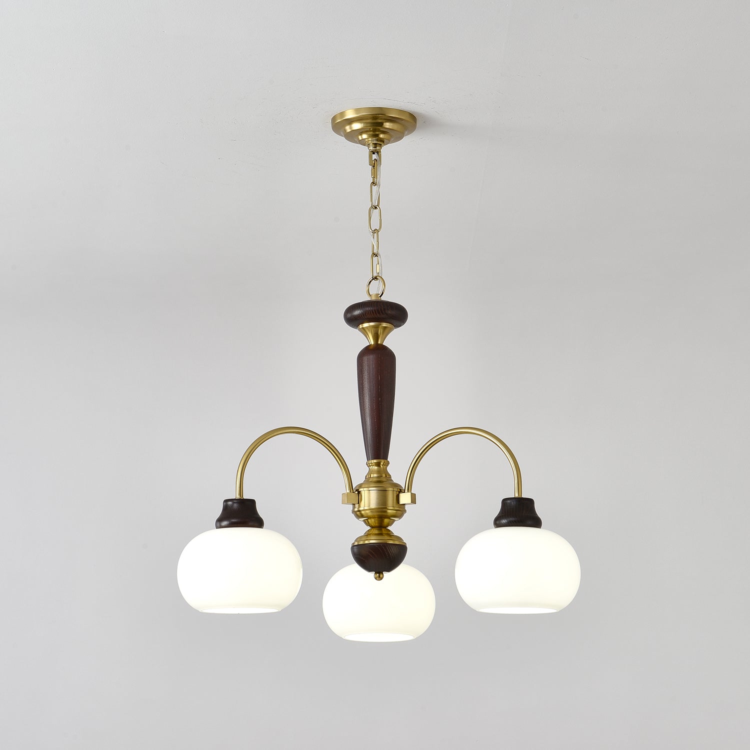 arched-globe-chandelier-anzaz--14