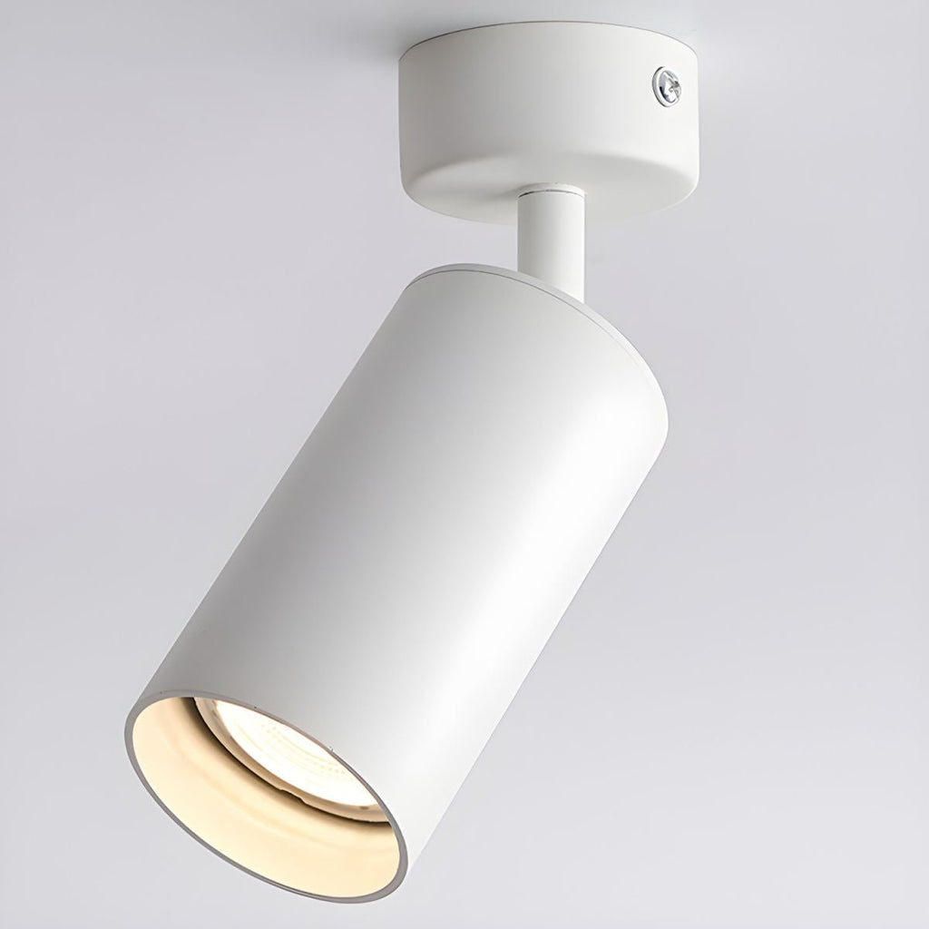 arlo-accent-spotlight-anzaz--11
