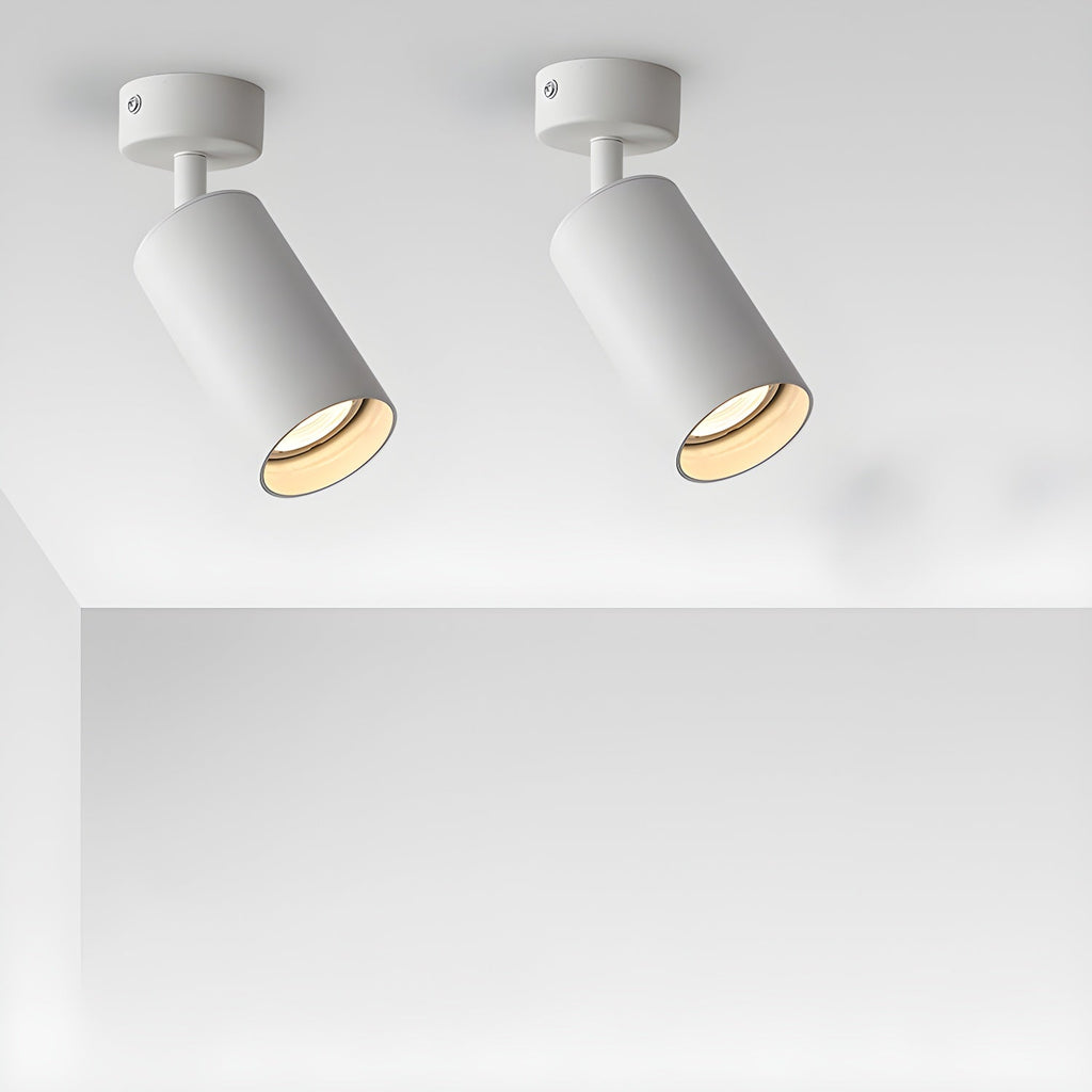 arlo-accent-spotlight-anzaz--4