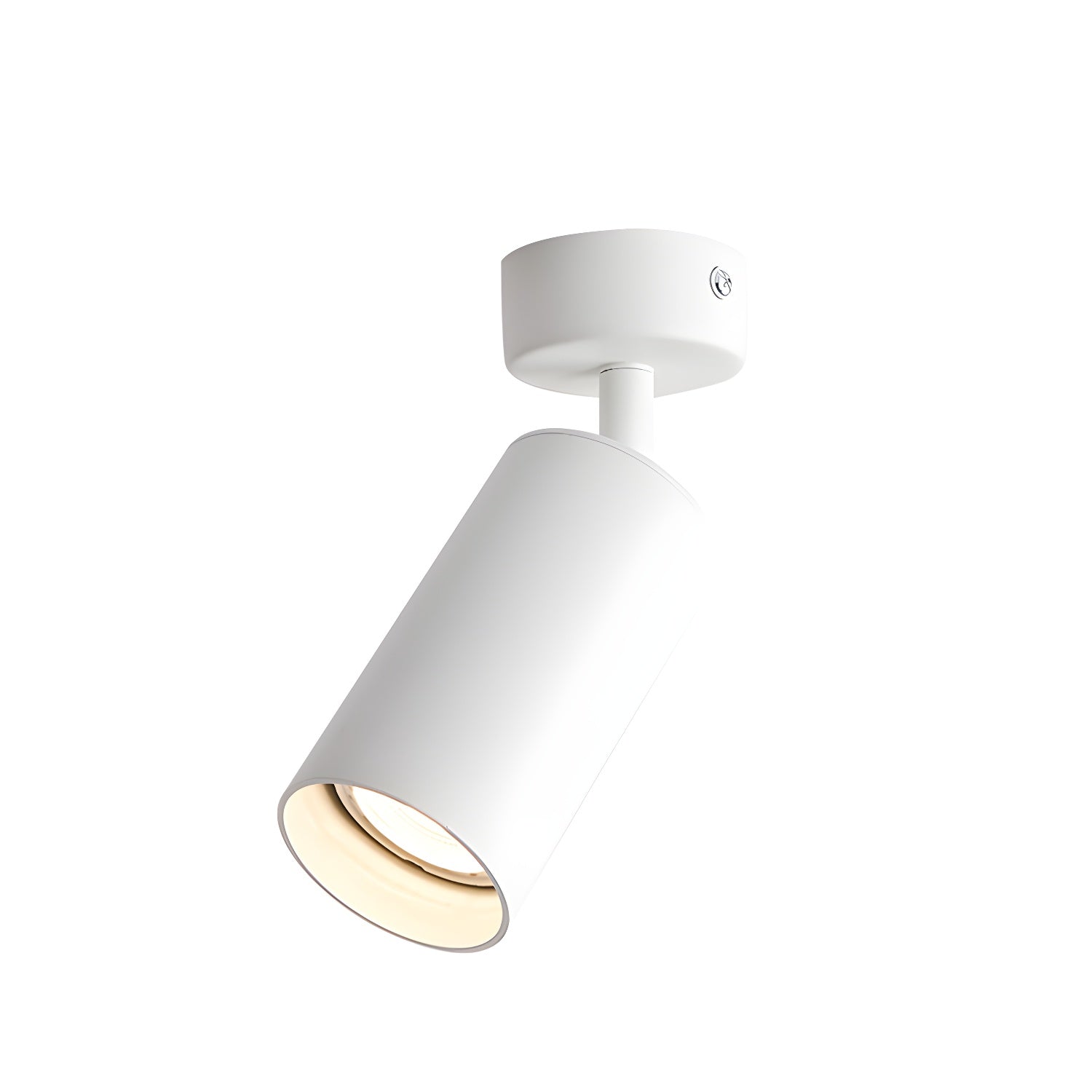 arlo-accent-spotlight-anzaz--10