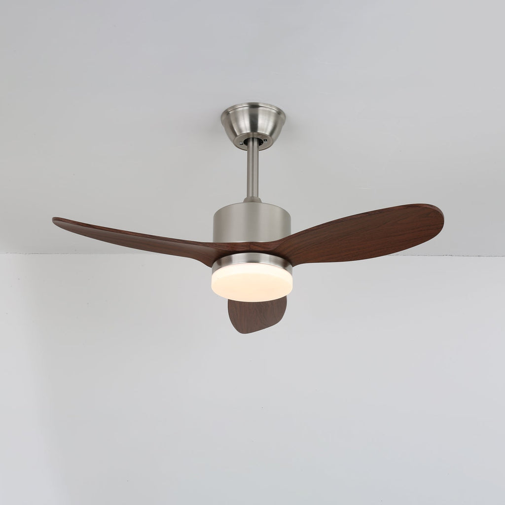 arlo-ceiling-fan-light-anzaz--4