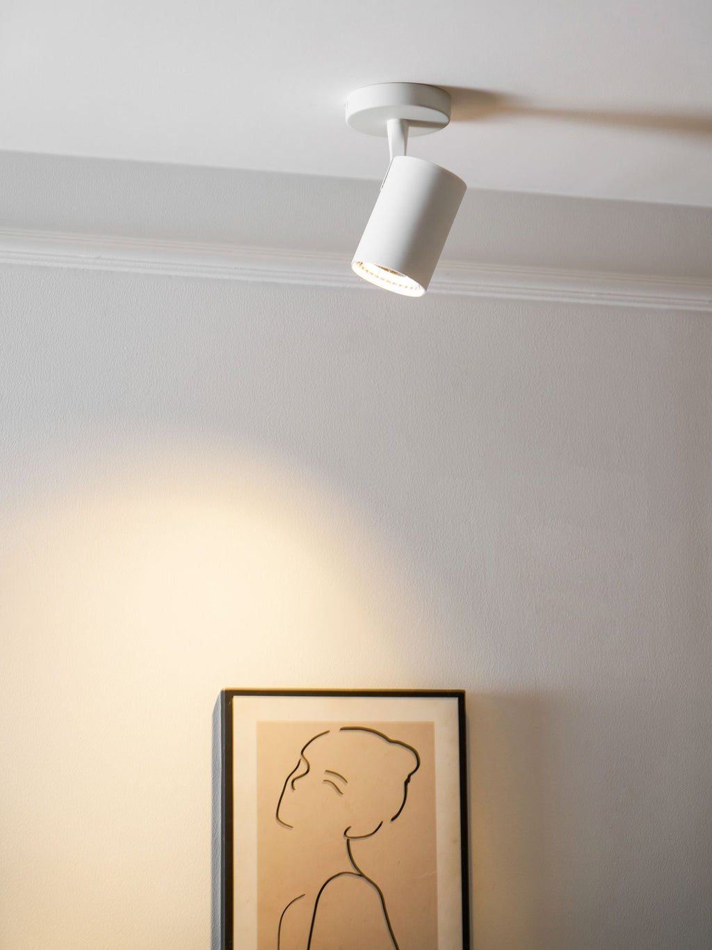 calla-beam-spotlight-anzaz--22
