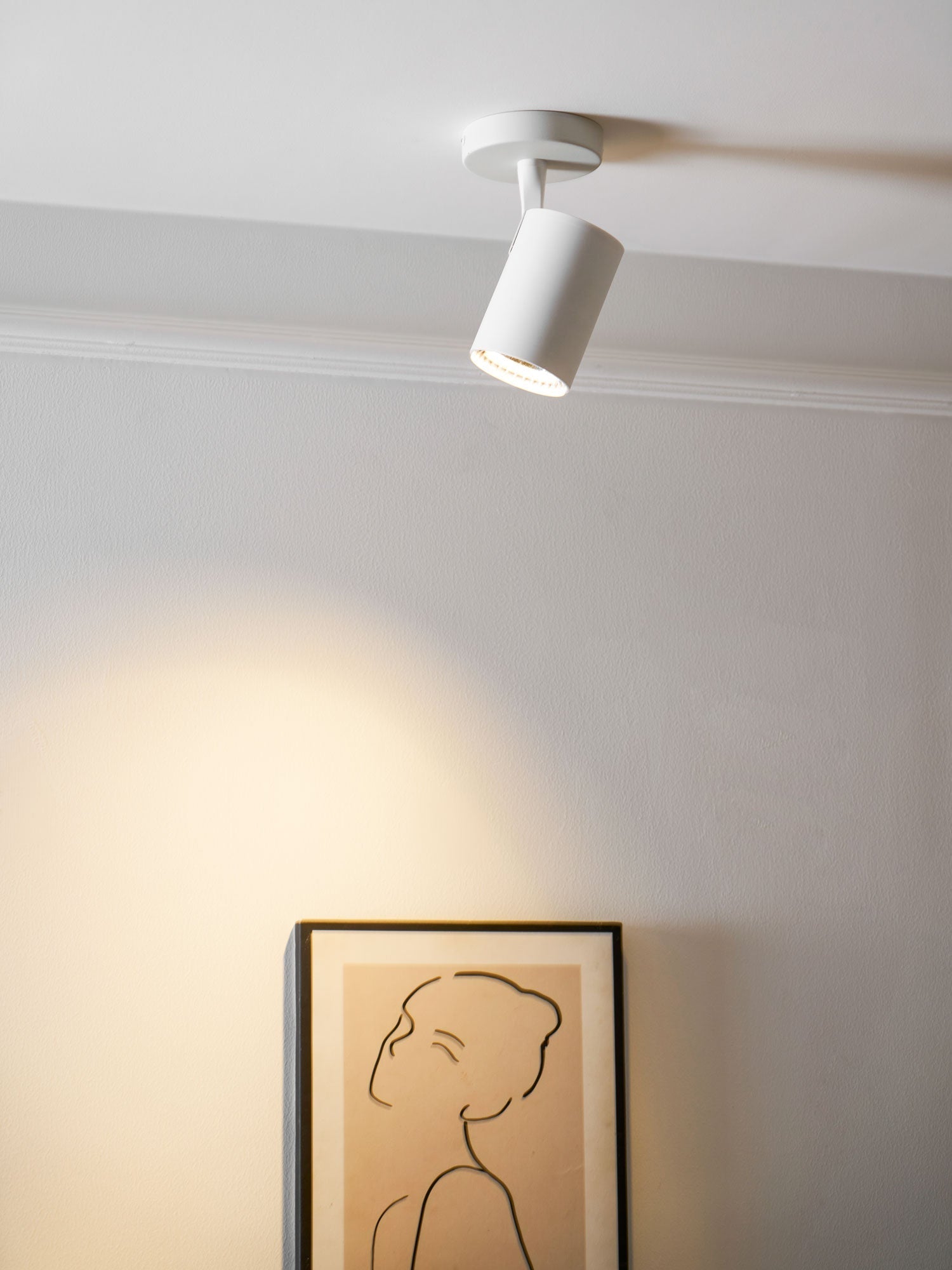 calla-beam-spotlight-anzaz--22