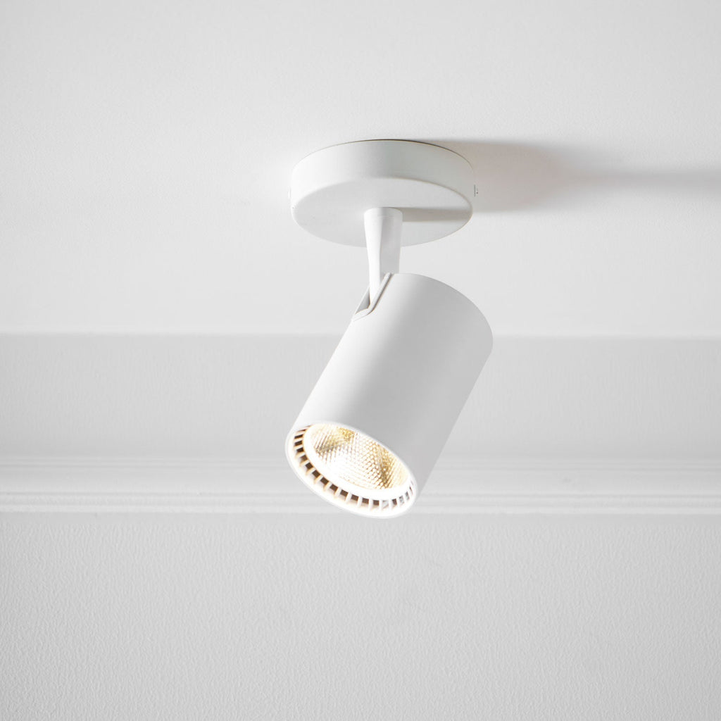 calla-beam-spotlight-anzaz--24