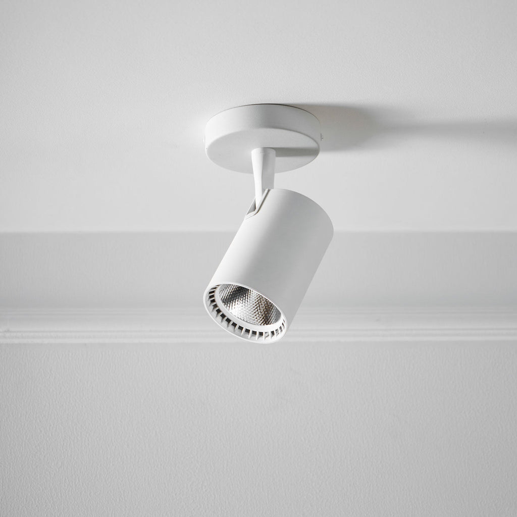 calla-beam-spotlight-anzaz--21