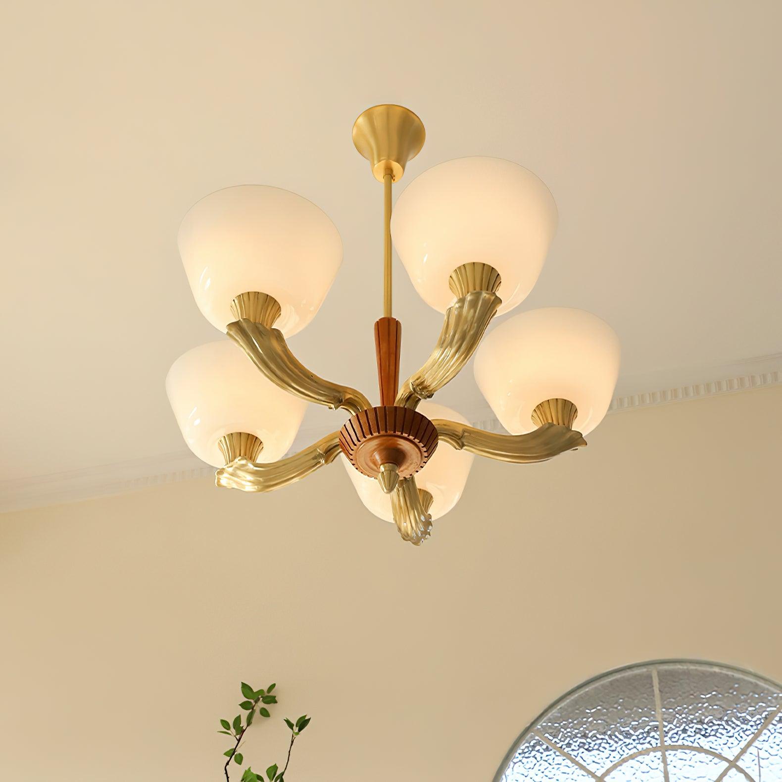 ascher-chandelier-anzaz--10