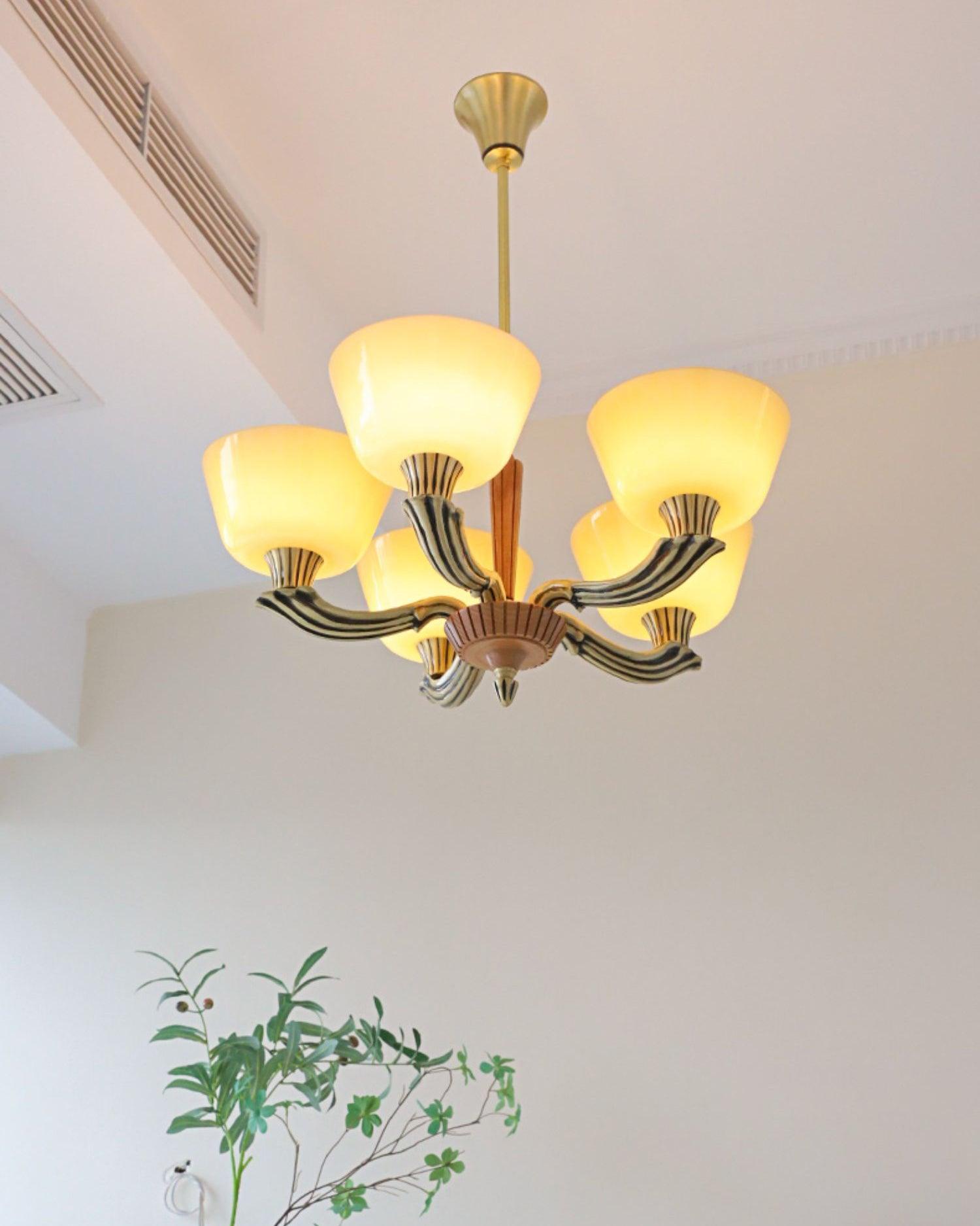 ascher-chandelier-anzaz--16