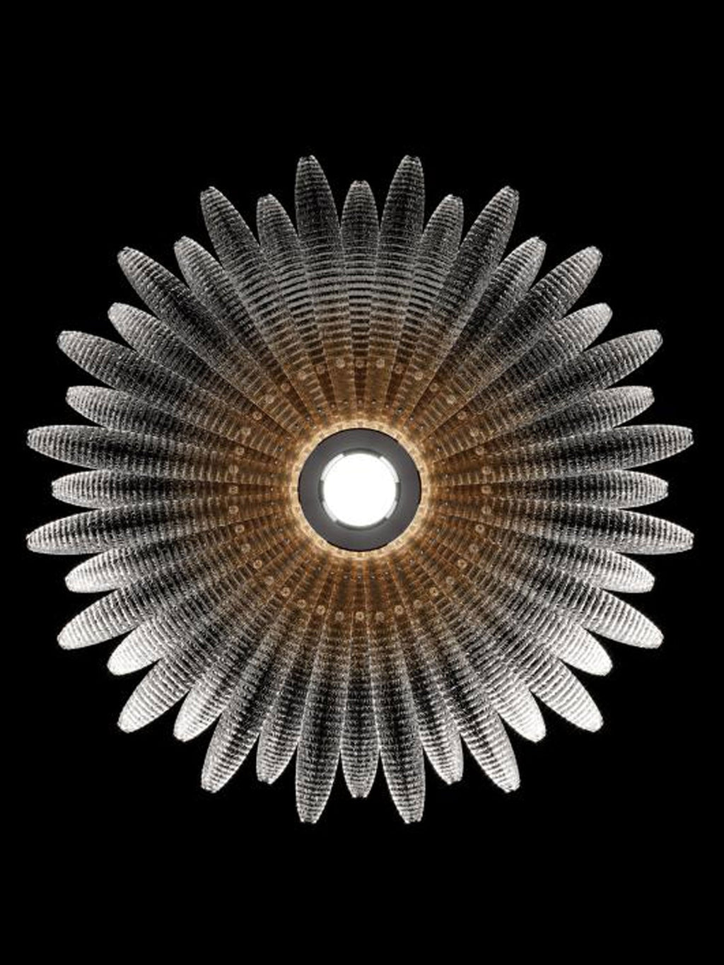 aurelia-glass-petal-ceiling-light-anzaz--13