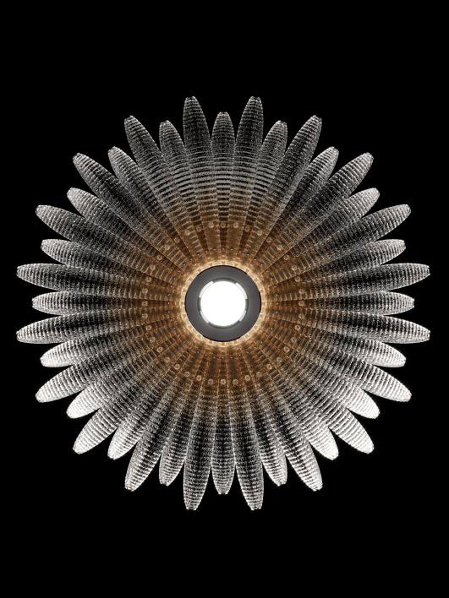 aurelia-glass-petal-ceiling-light-anzaz--13