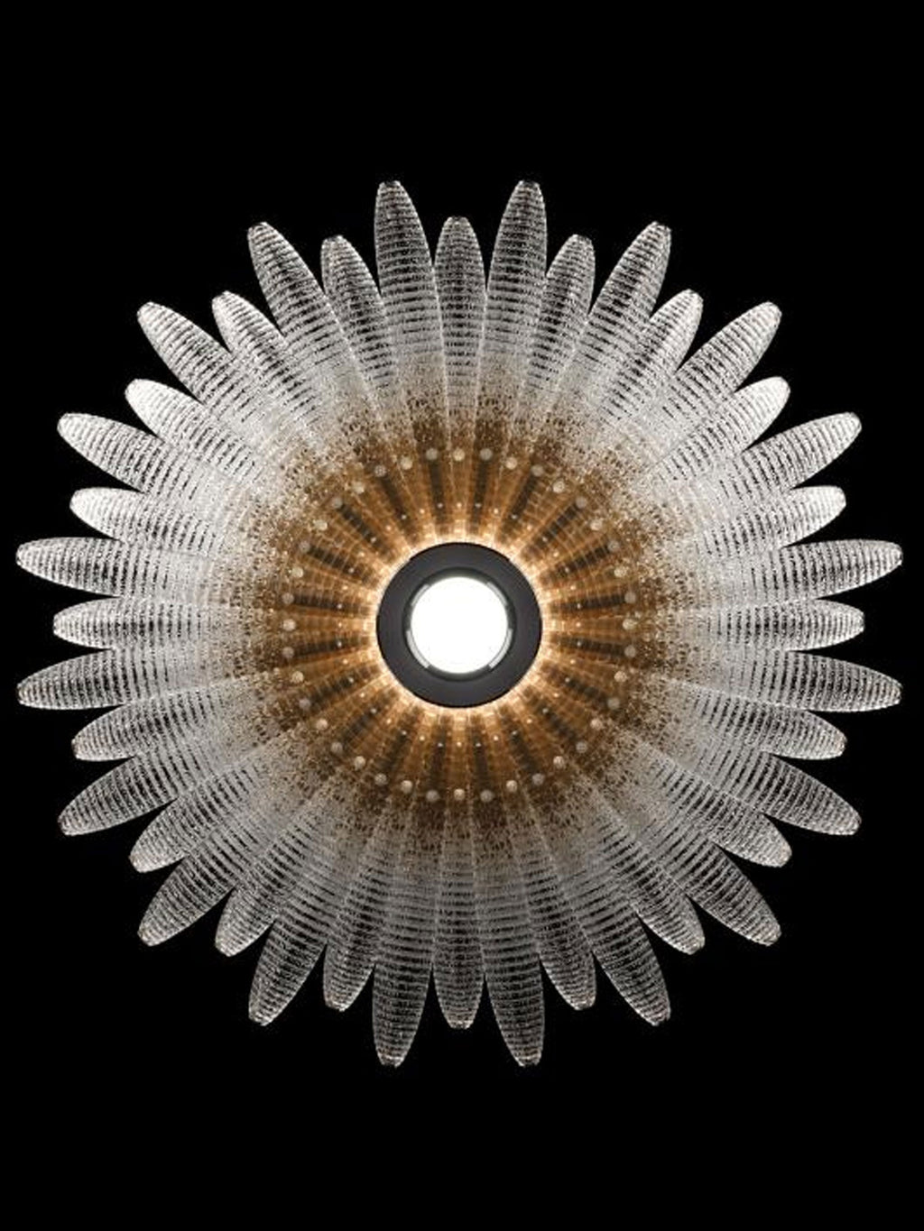 aurelia-glass-petal-chandelier-anzaz--11