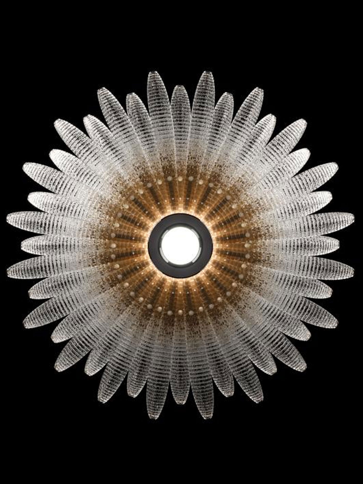 aurelia-glass-petal-chandelier-anzaz--11