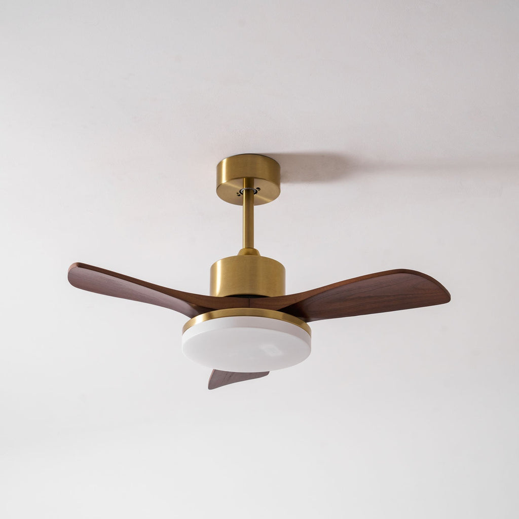 aurevo-ceiling-fan-light-anzaz--17