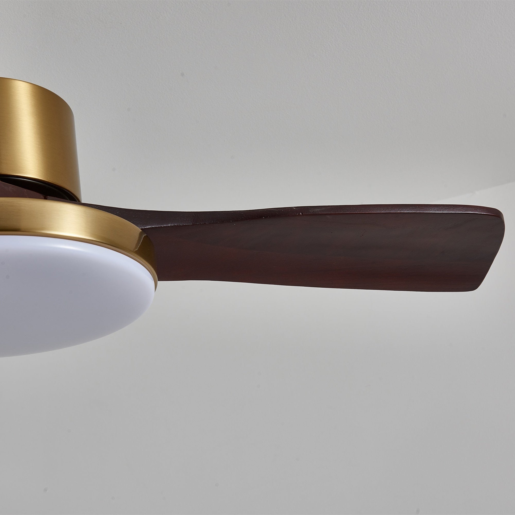 aurevo-ceiling-fan-light-anzaz--29