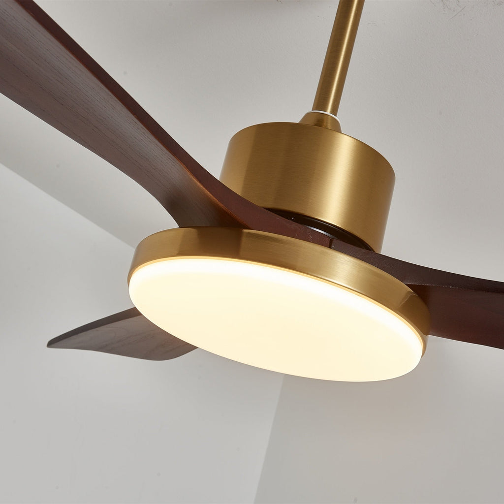 aurevo-ceiling-fan-light-anzaz--31