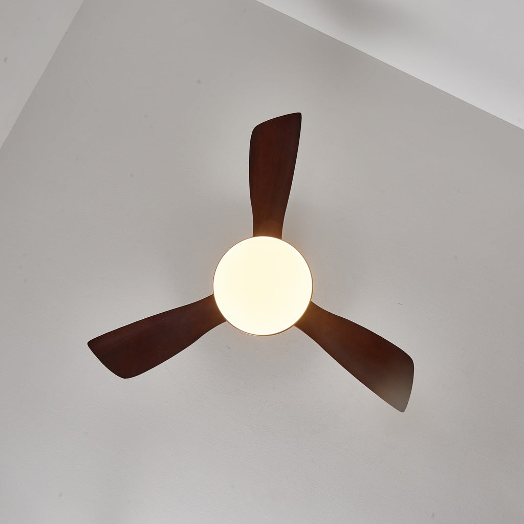 aurevo-ceiling-fan-light-anzaz--36