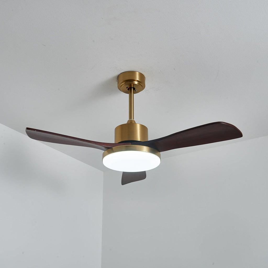 aurevo-ceiling-fan-light-anzaz--19