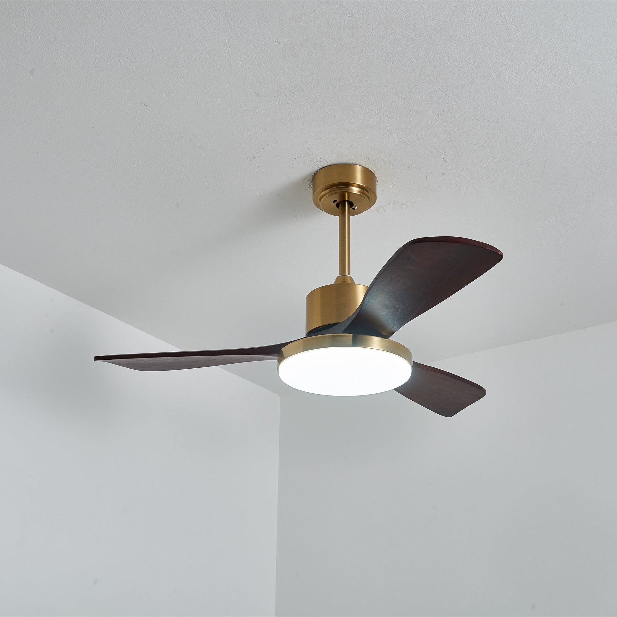 aurevo-ceiling-fan-light-anzaz--25