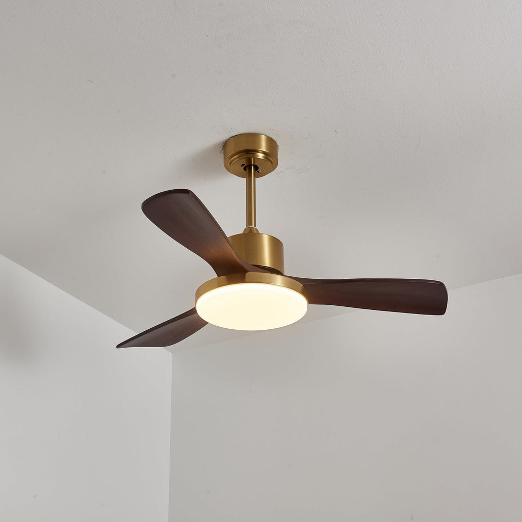 aurevo-ceiling-fan-light-anzaz--26