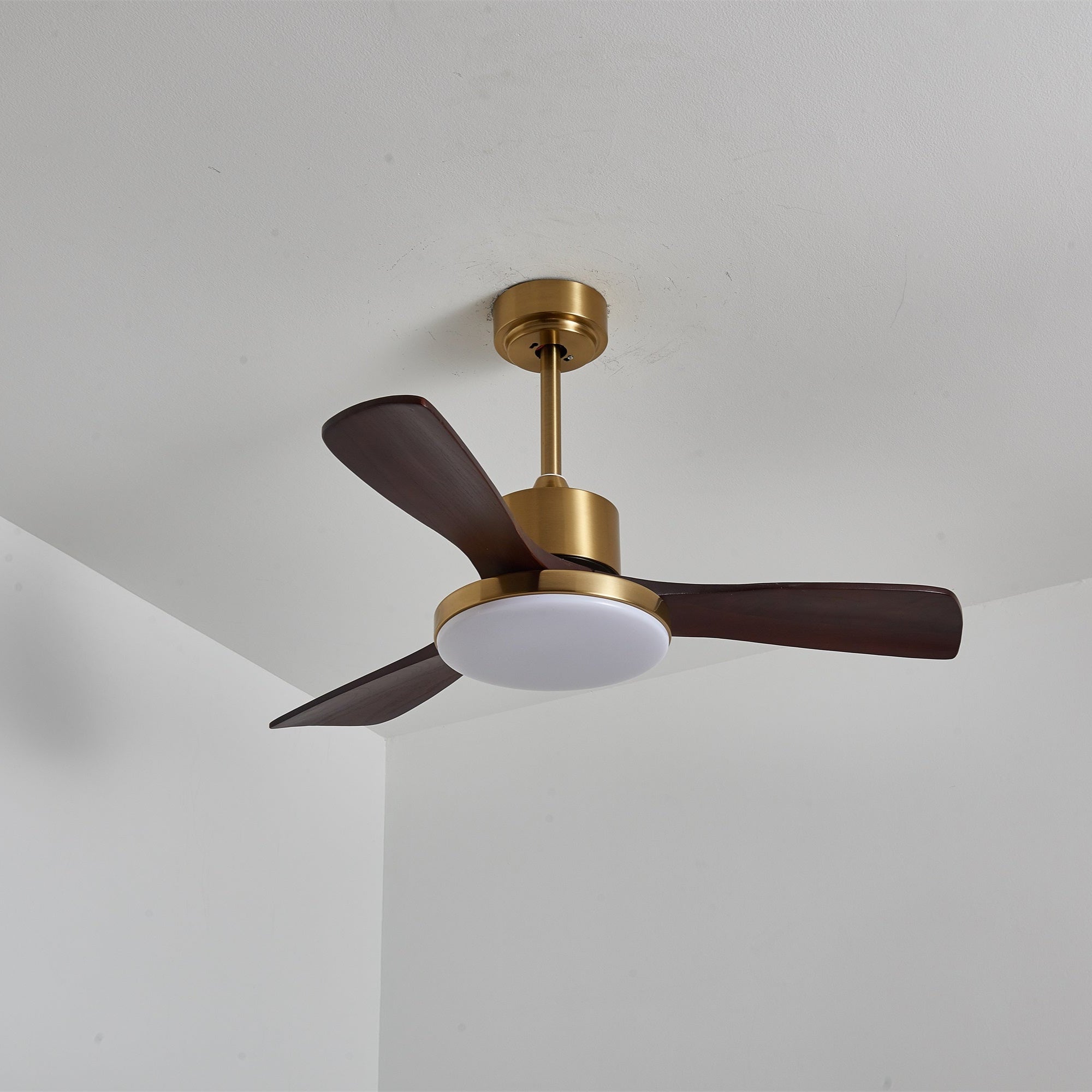aurevo-ceiling-fan-light-anzaz--38
