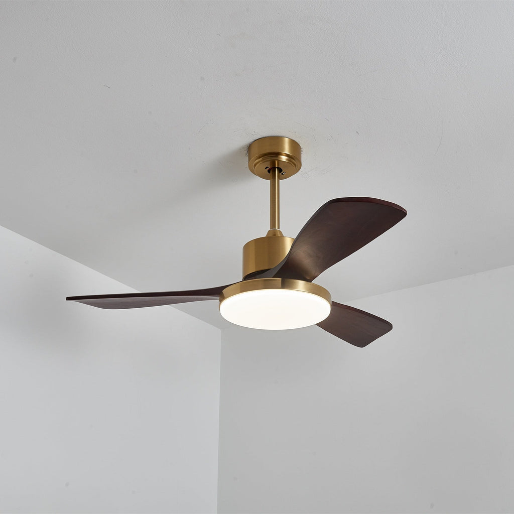 aurevo-ceiling-fan-light-anzaz--20