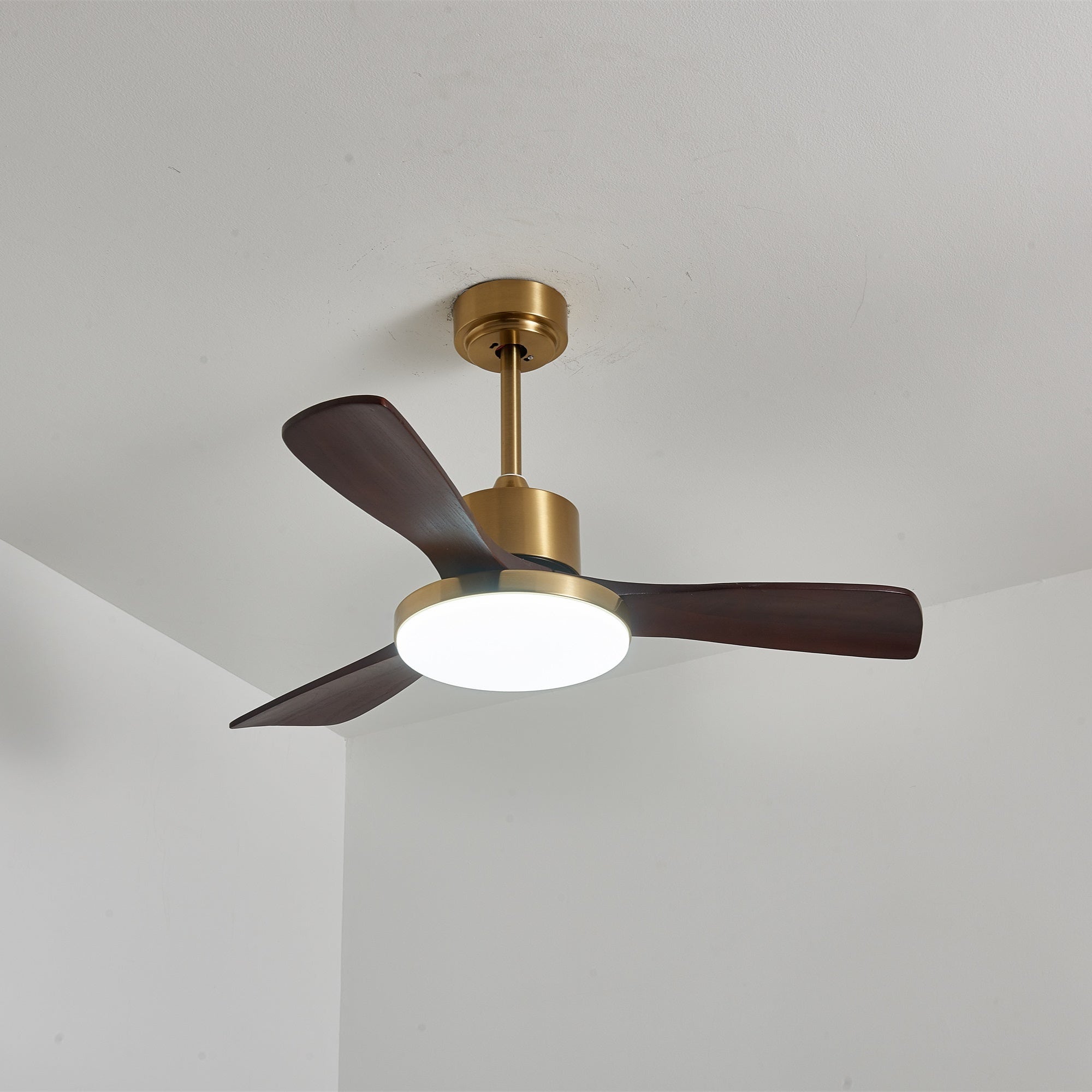 aurevo-ceiling-fan-light-anzaz--21
