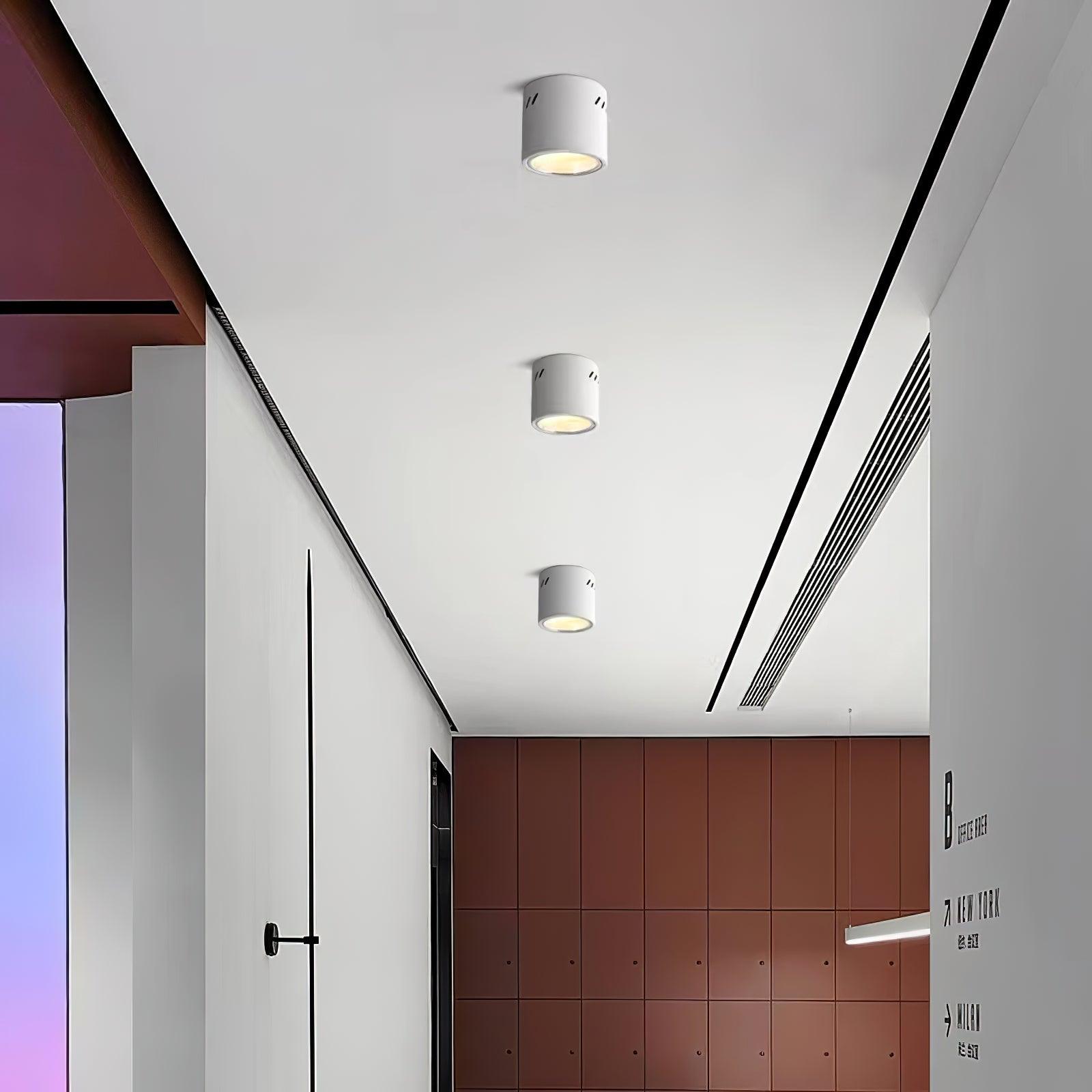 aven-spotlight-anzaz-White-7