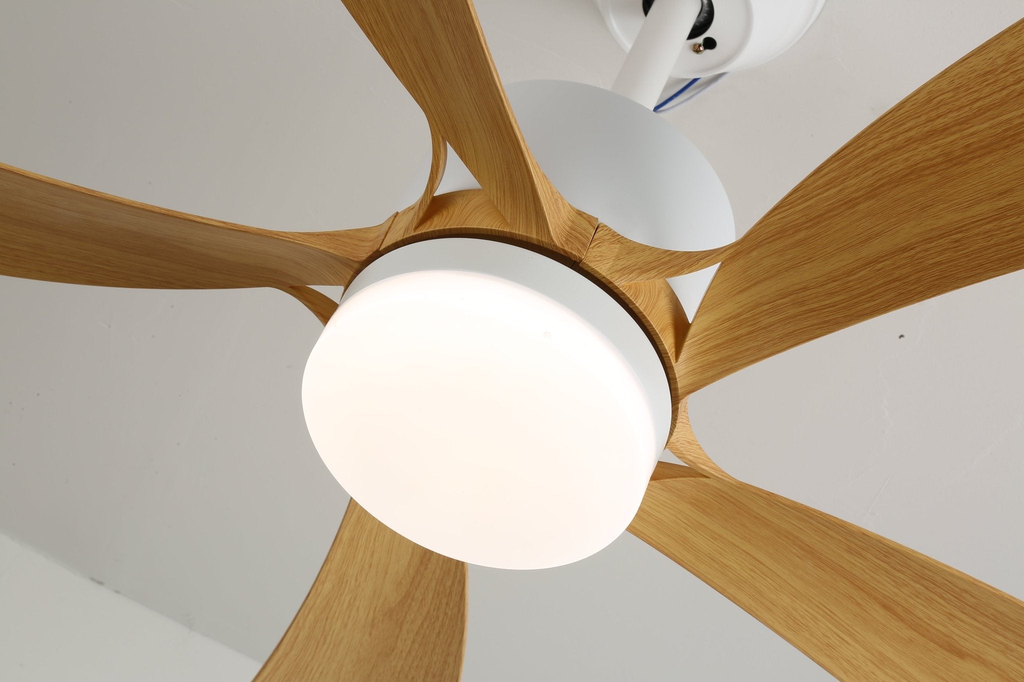 avenli-ceiling-fan-light-anzaz--17