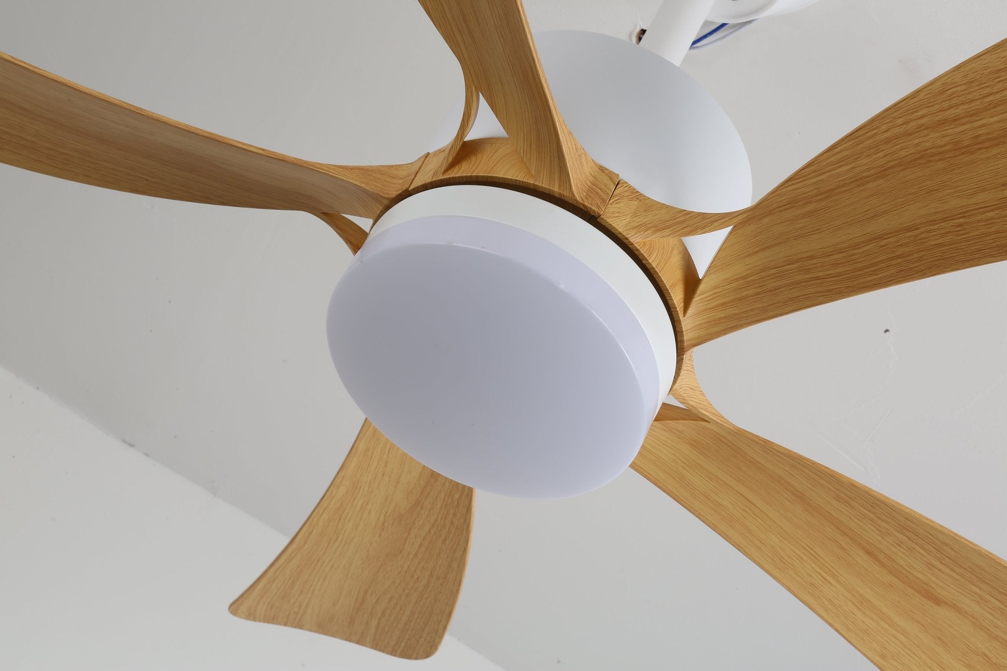 avenli-ceiling-fan-light-anzaz--18