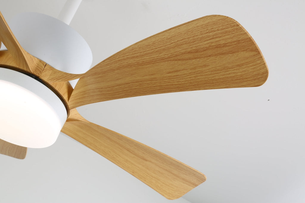 avenli-ceiling-fan-light-anzaz--19
