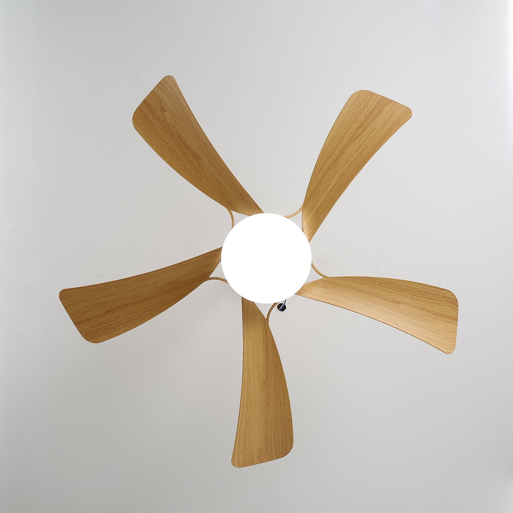 avenli-ceiling-fan-light-anzaz--20