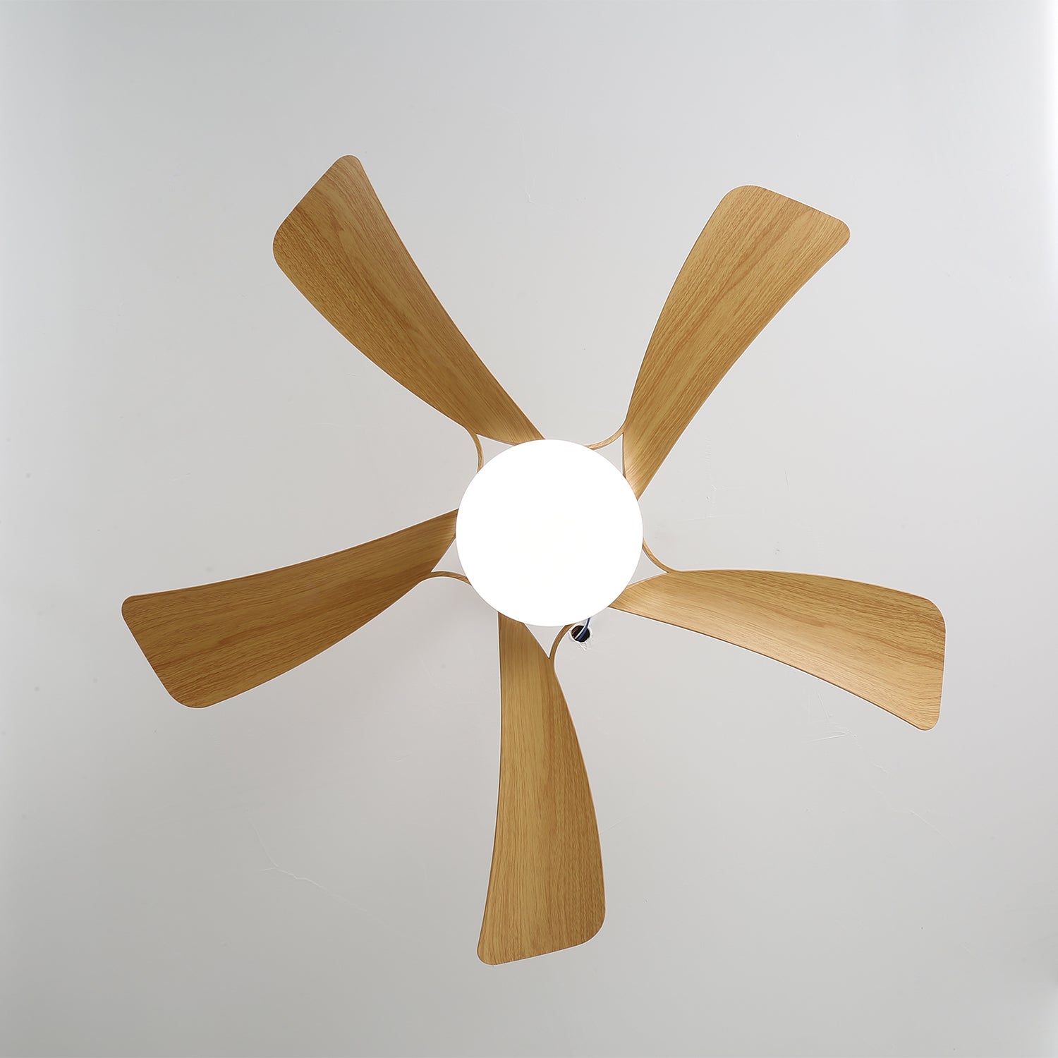 avenli-ceiling-fan-light-anzaz--20