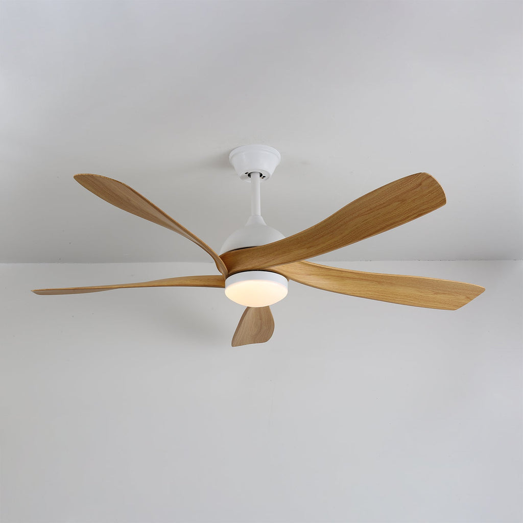 avenli-ceiling-fan-light-anzaz--10