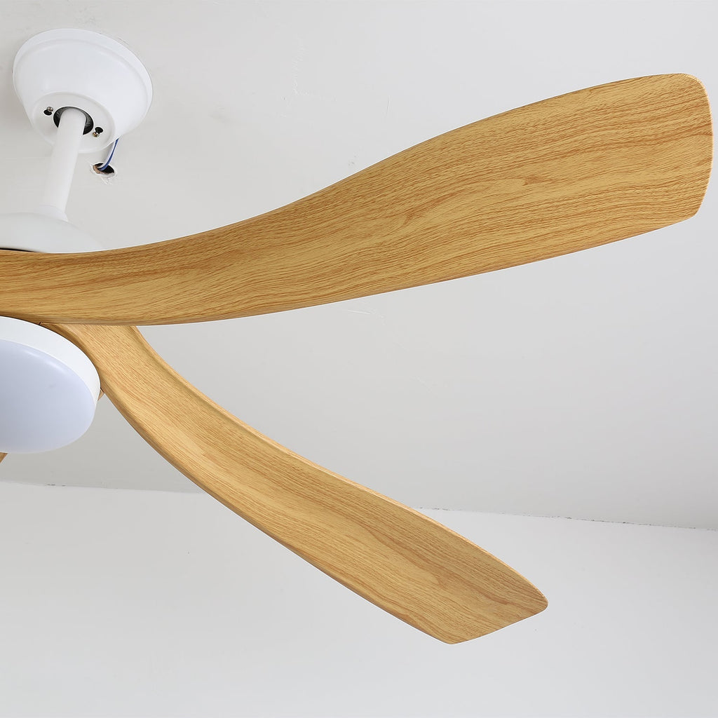 avenli-ceiling-fan-light-anzaz--22