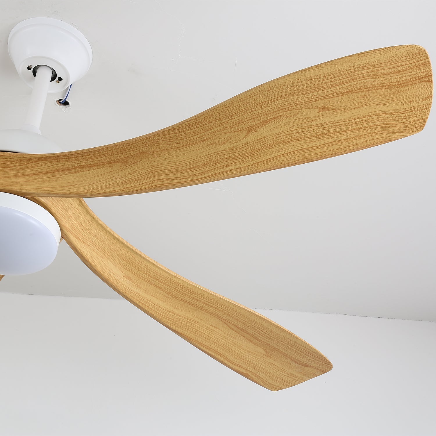 avenli-ceiling-fan-light-anzaz--22