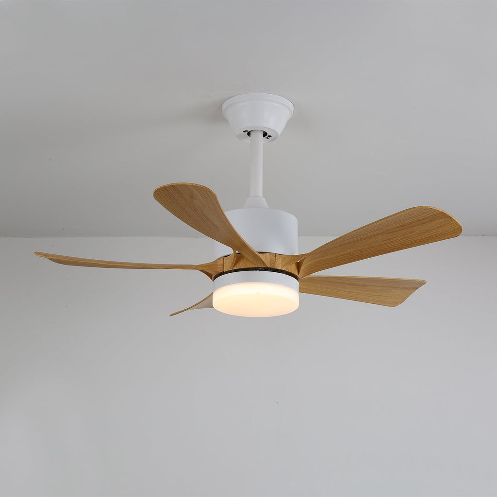 avenli-ceiling-fan-light-anzaz--25