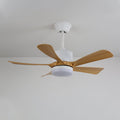avenli-ceiling-fan-light-anzaz--26