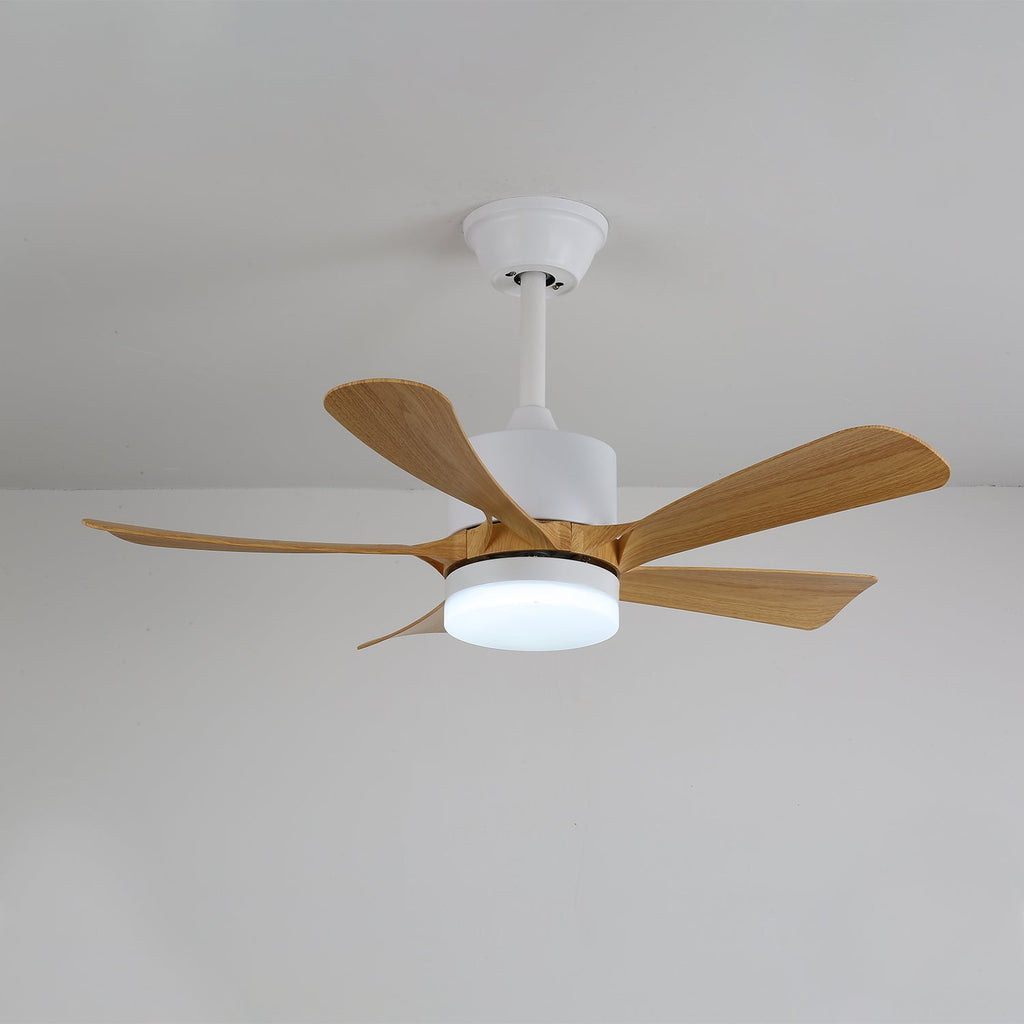 avenli-ceiling-fan-light-anzaz--13